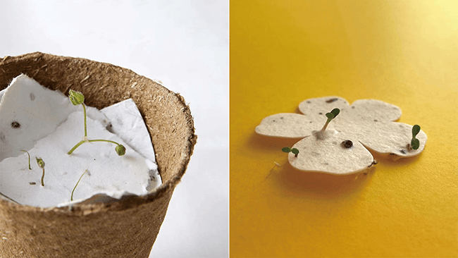 what is plantable paper looks like