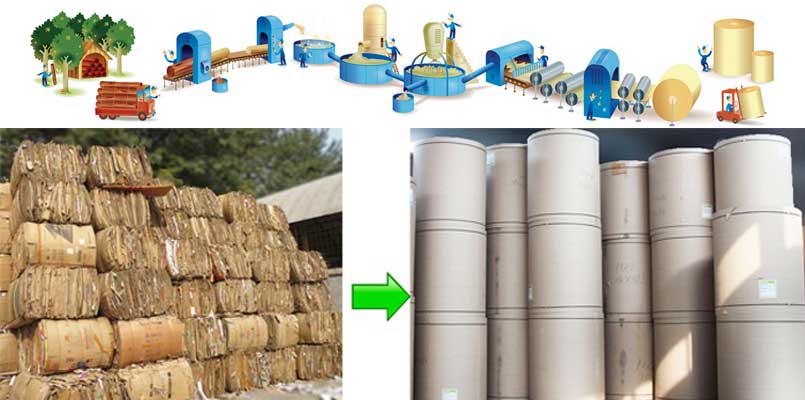 kraft paper production wood pulp chemical process